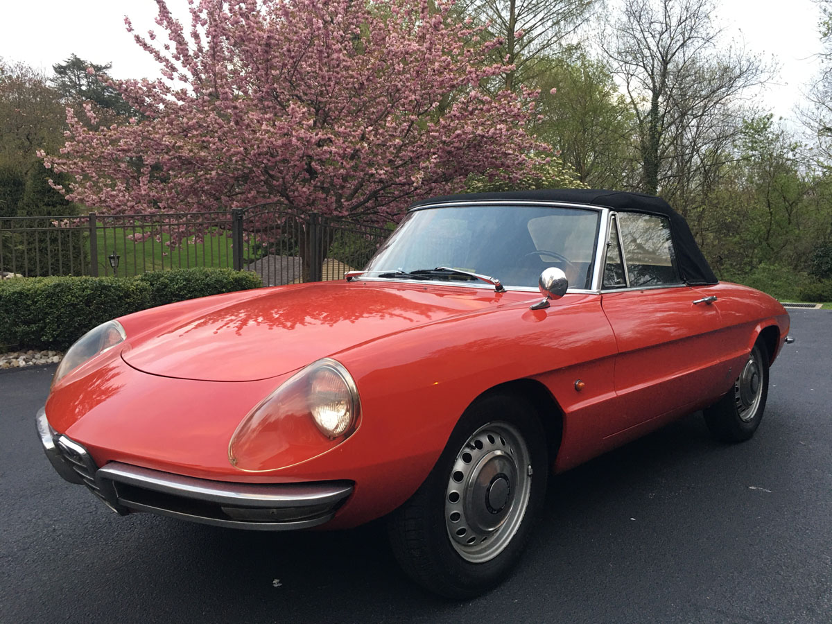 1966 Alfa Romeo Duetto Spider