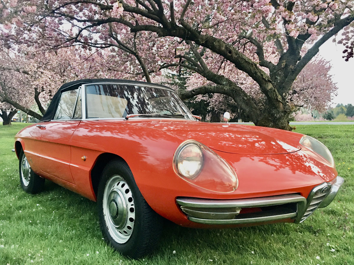 1966 Alfa Romeo 1600 Spider Duetto